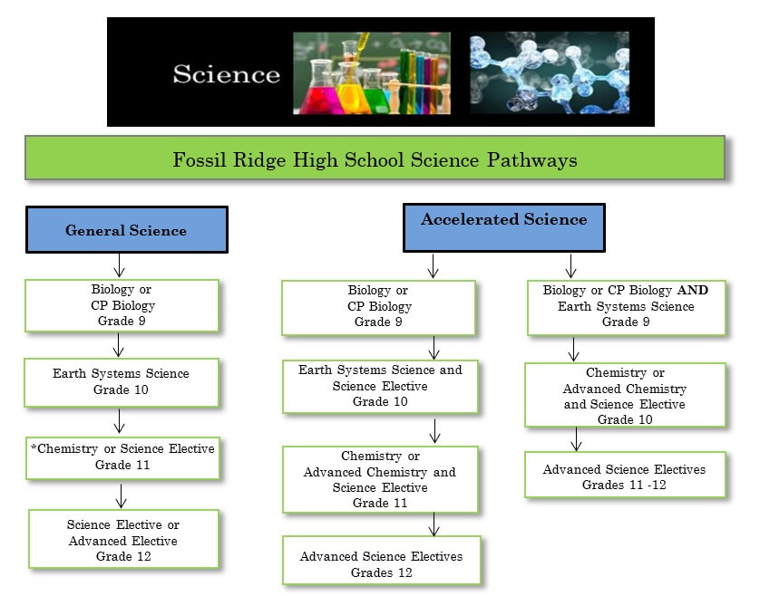 Science Subjects in Class 11th: A Detailed Handbook